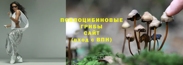 MDMA Тында