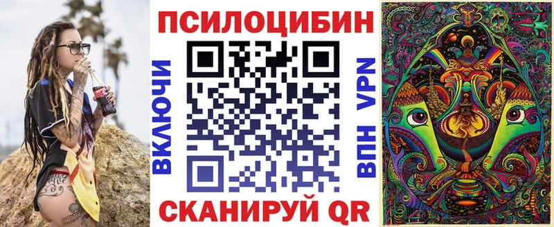 где можно купить   Вышний Волочёк  Псилоцибиновые грибы прущие грибы 